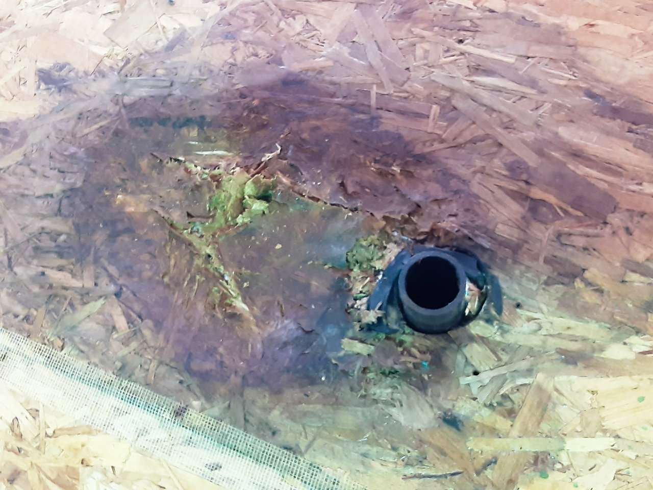 photo of rv roof water leak under membrane damaged wood